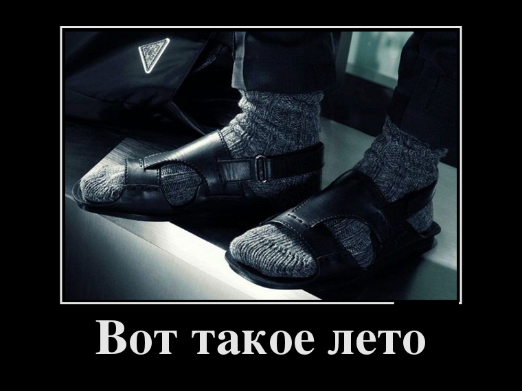 Подборка демотиваторов вторника (20 фото)