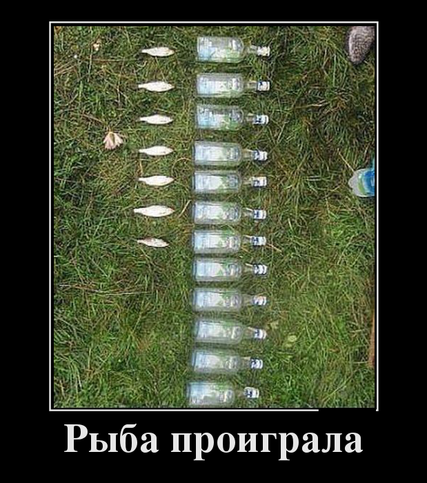 Подборка демотиваторов вторника (20 фото)