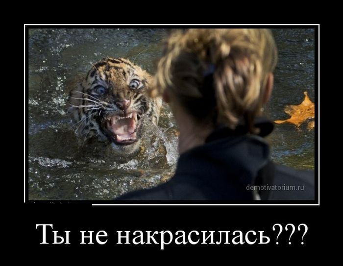   (30 _