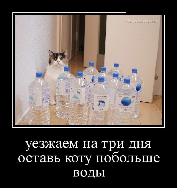    (30 _
