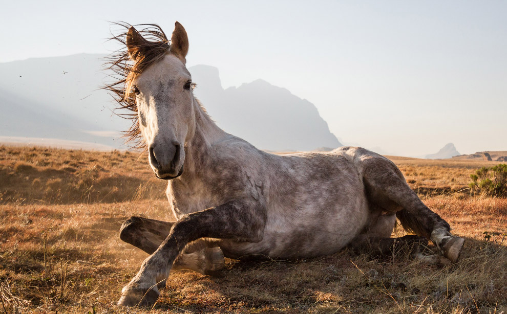    National Geographic Traveler 2014 (10 )