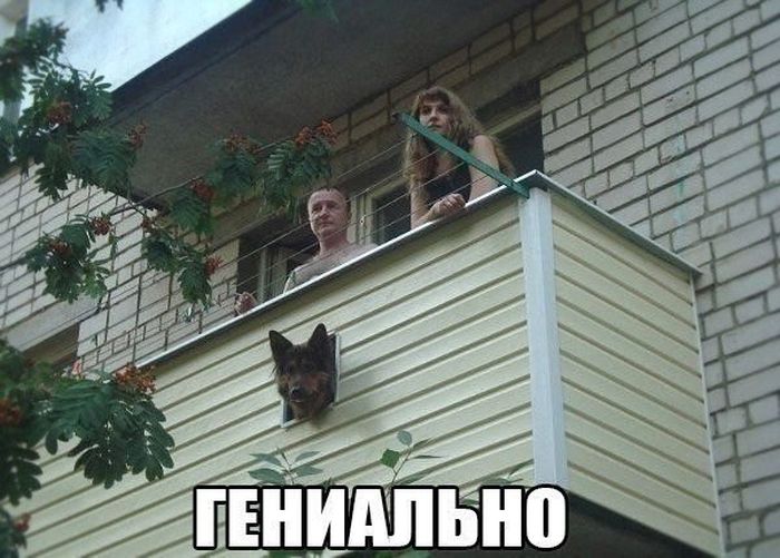 Подборка прикольных картинок из социальных сетей (30 фото)