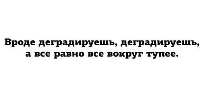 Подборка прикольных картинок из социальных сетей (30 фото)