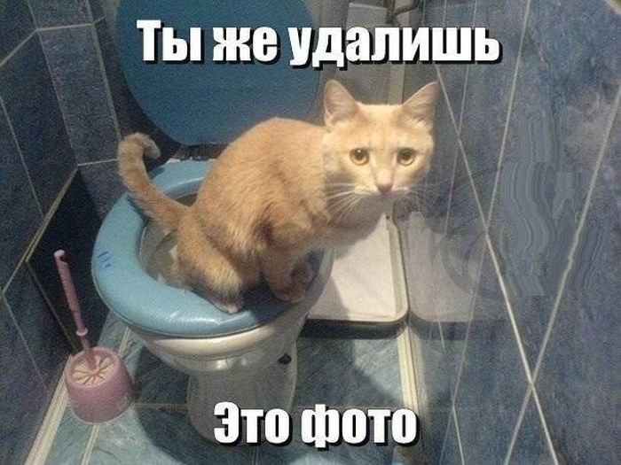 Подборка прикольных картинок из социальных сетей (30 фото)