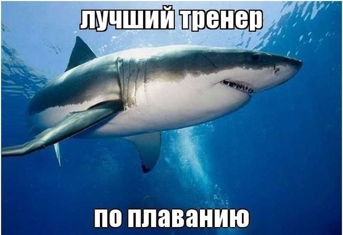 Подборка прикольных картинок из социальных сетей (30 фото)