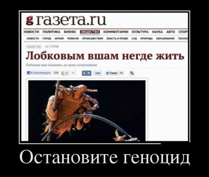 �������� ������������� ������� (30 ����)