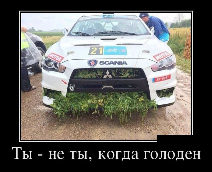 �������� ������������� ������� (30 ����)