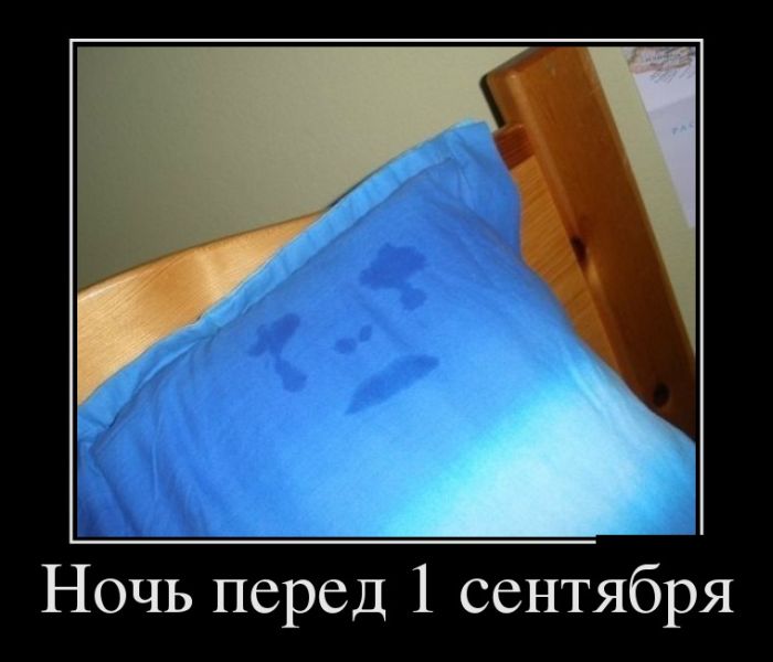 Демотиваторы среды (30 фото)