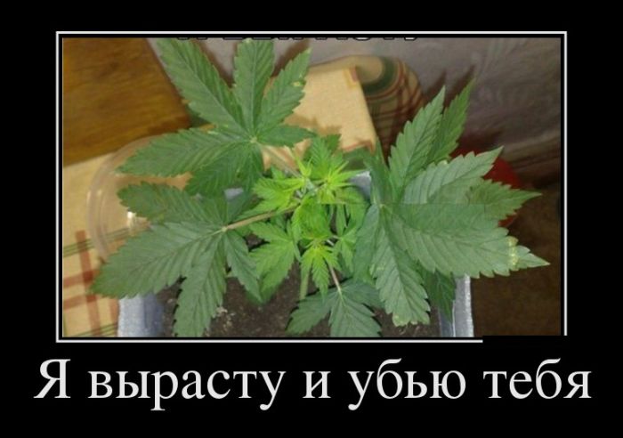 Демотиваторы среды (30 фото)