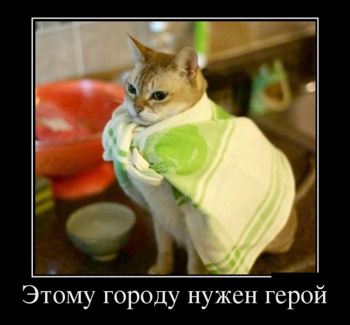 Демотиваторы среды (30 фото)