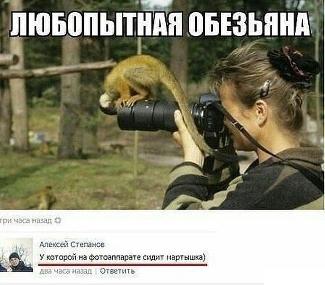 Смешные комментарии из соцсетей (13 фото)