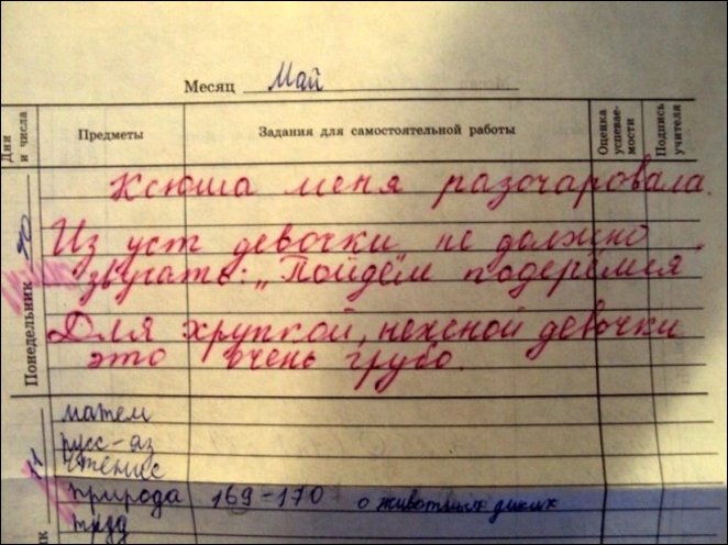 Зaписи в школьных дневниках (10 фото)