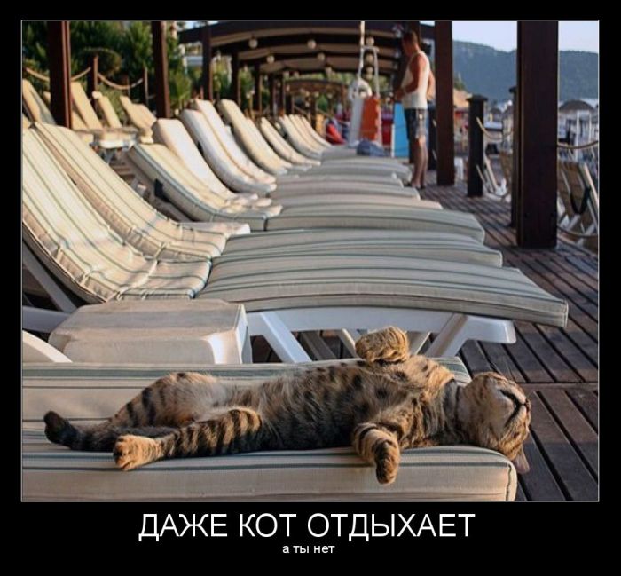 Демотиваторы понедельника (30 фото)