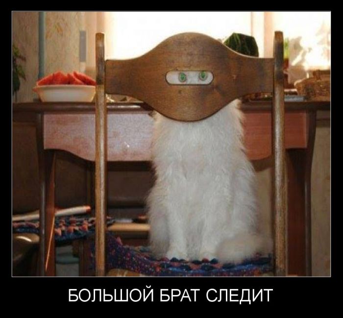 Демотиваторы понедельника (30 фото)