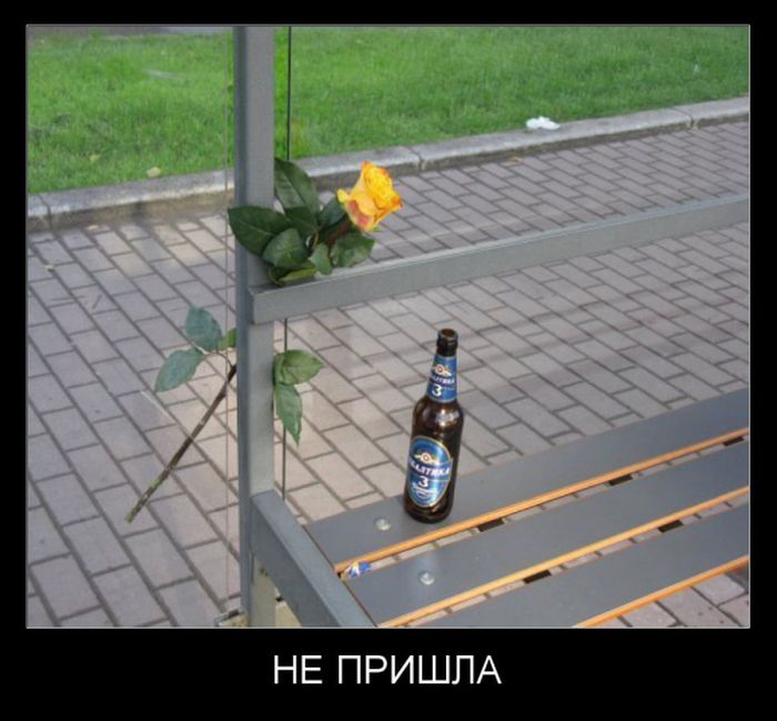 Демотиваторы понедельника (30 фото)