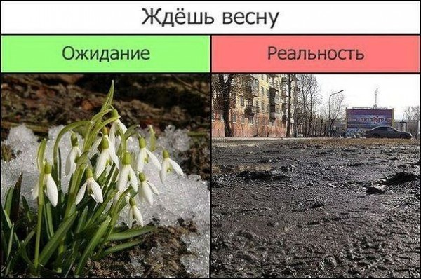 Ожидание против реальности (20 фото)