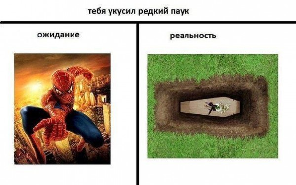 Ожидание против реальности (20 фото)