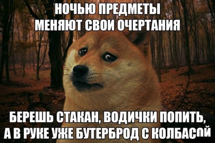 Подборка прикольных картинок из социальных сетей (30 фото)