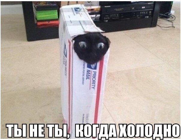 Подборка прикольных картинок из социальных сетей (30 фото)