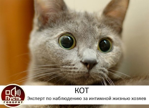 Подборка прикольных картинок из социальных сетей (30 фото)