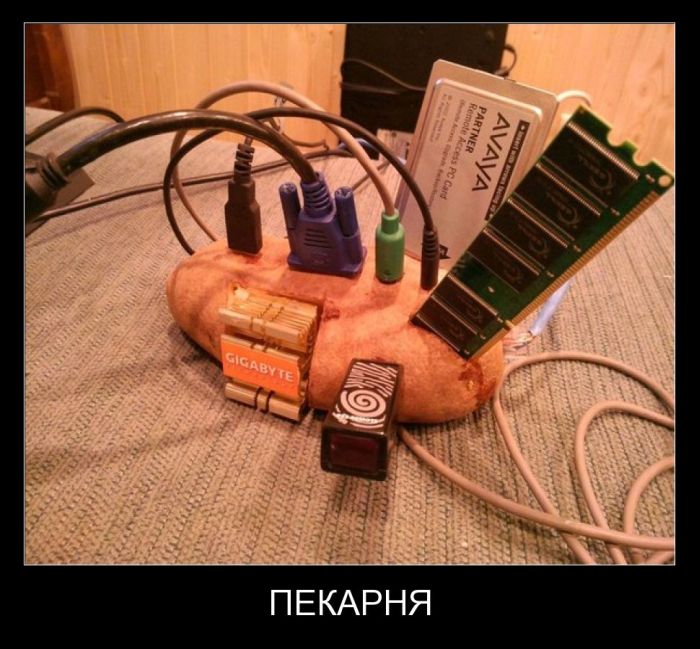 Демотиваторы четверга (30 фото)