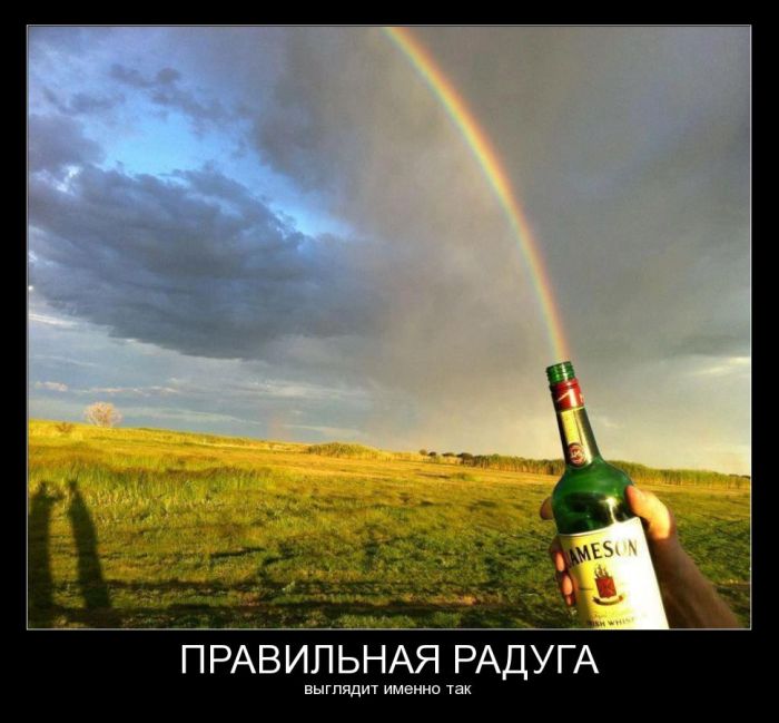 Демотиваторы четверга (30 фото)