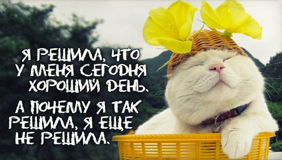 Открытки с интересными мыслями (18 фото)