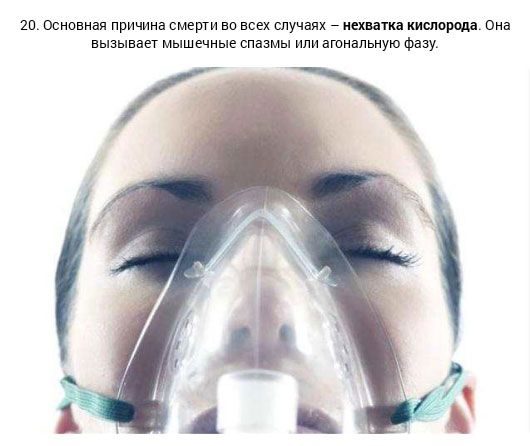 20 фактов о смерти 