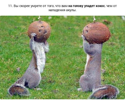 20 фактов о смерти 