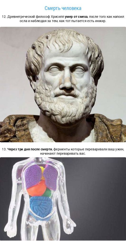 20 фактов о смерти 