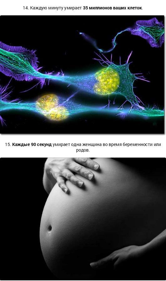 20 фактов о смерти 
