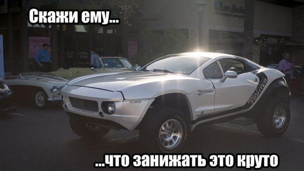 Автоприколы вторника (19 фото)