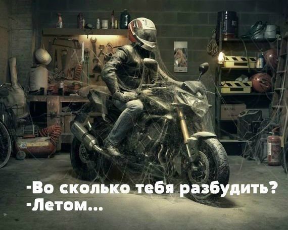 Автоприколы вторника (19 фото)