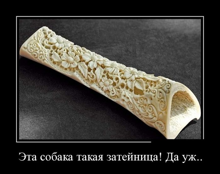 Демотиваторы четверга (30 фото)