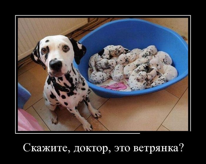 Демотиваторы четверга (30 фото)