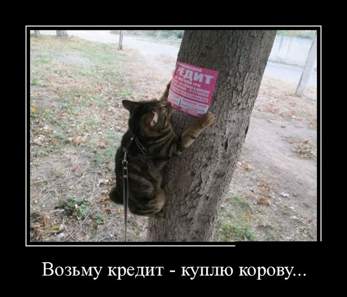 Демотиваторы четверга (30 фото)