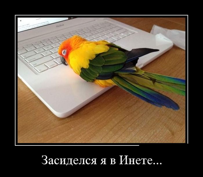 Демотиваторы четверга (30 фото)