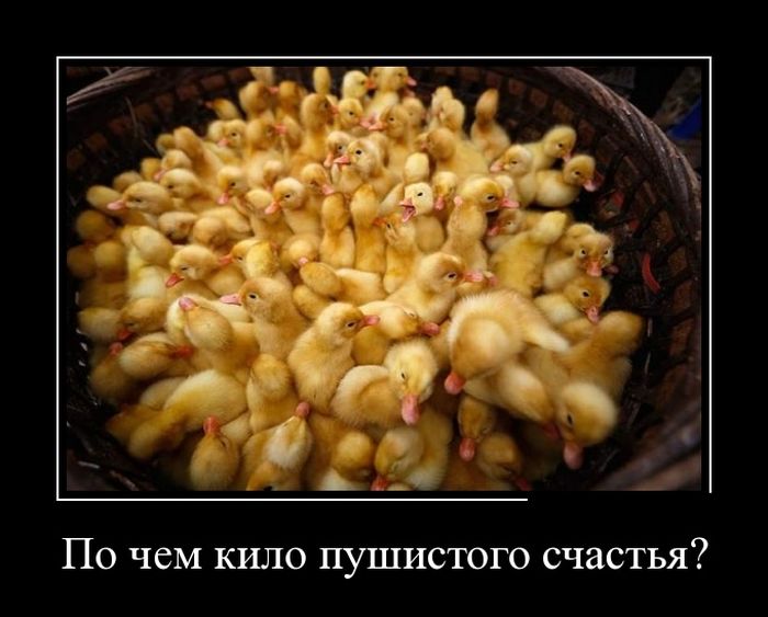 Демотиваторы четверга (30 фото)