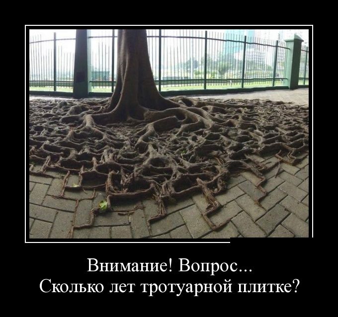 Демотиваторы четверга (30 фото)