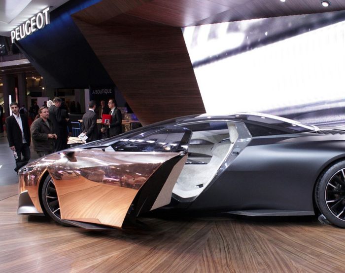  Peugeot Onyx (13 )