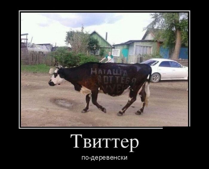 Демотиваторы понедельника (30 фото)
