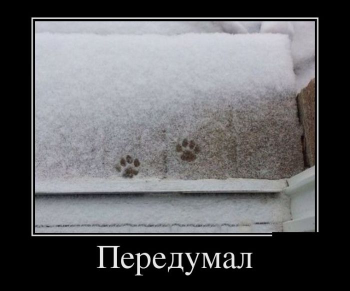 Демотиваторы понедельника (30 фото)