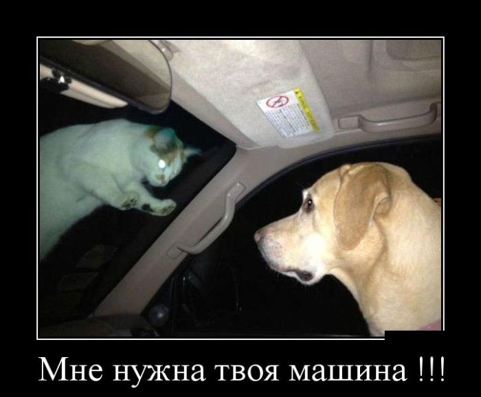 Демотиваторы четверга (30 фото)