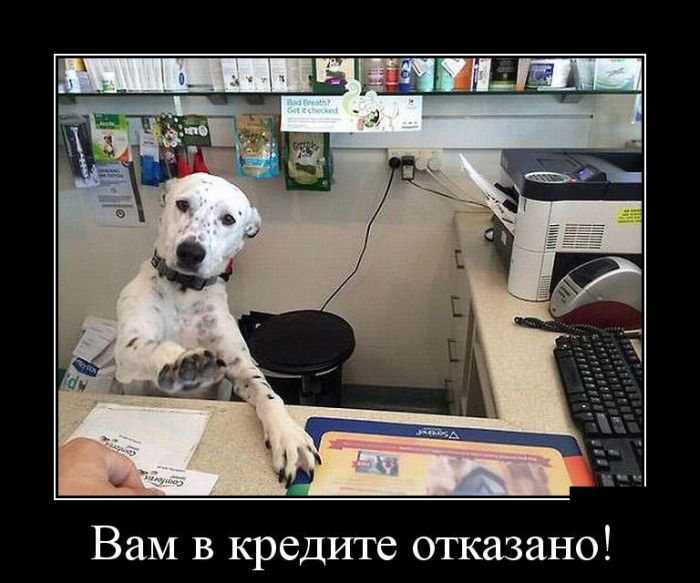 Демотиваторы четверга (30 фото)