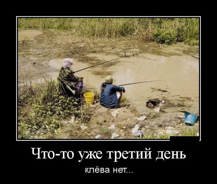 Демотиваторы четверга (30 фото)