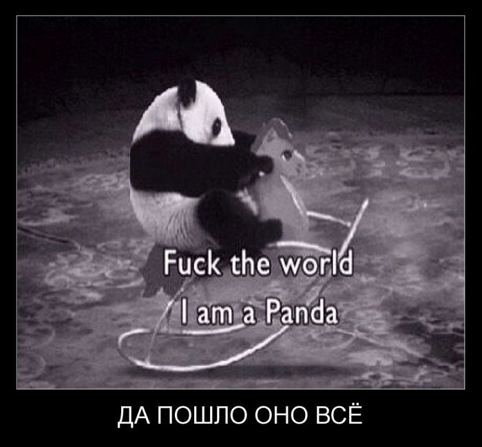 Демотиваторы четверга (30 фото)