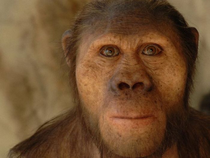 Доисторические люди из глины и силикона (10 фото)