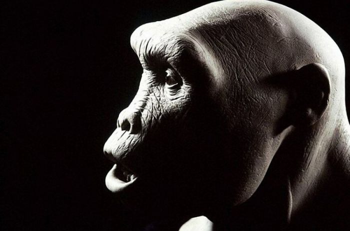 Доисторические люди из глины и силикона (10 фото)