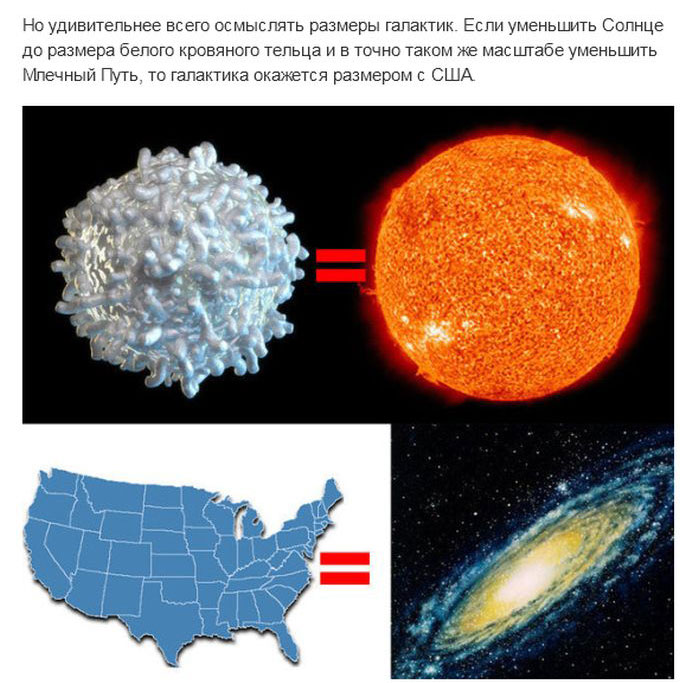 ,       (33 )
