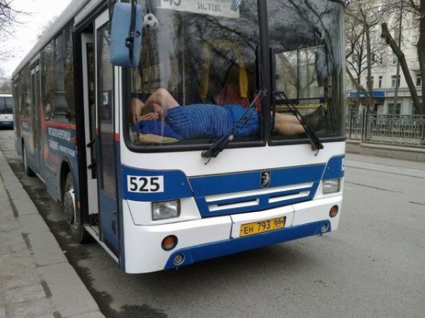 Мы хотим спать! (30 фото)
